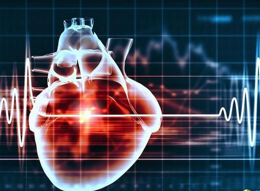 心脏